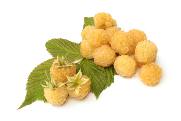 istock Fresh yellow raspberries with leaves 1301806225