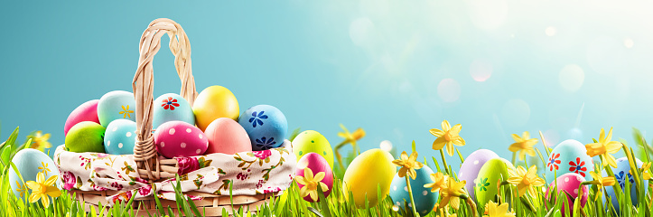 Easter Eggs in a Basket on Green Grass and Sunny Spring Background