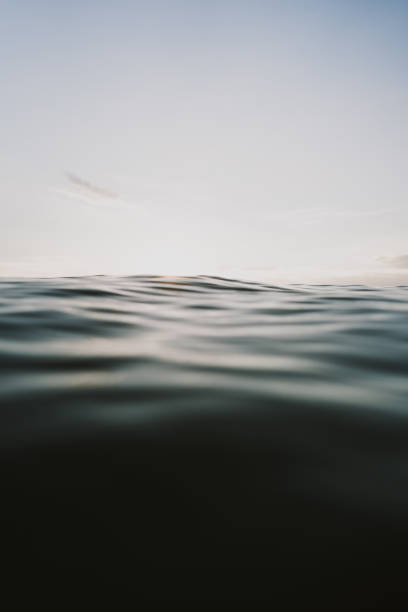 istock Surfer point of view of sun setting behind ocean horizon 1301814142