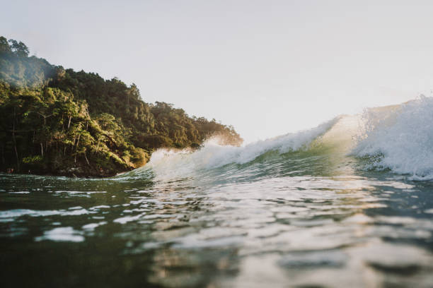 Sun shines through crashing waves with tropical trees in background