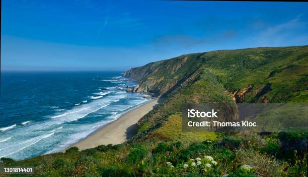 Driftwood Beach Stock Photo - Download Image Now - Northern California, Coastline, Beach