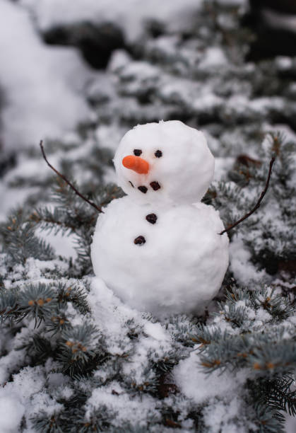 istock Small snowman sitting on branches of evergreen shrub on winter's day. 1301814562