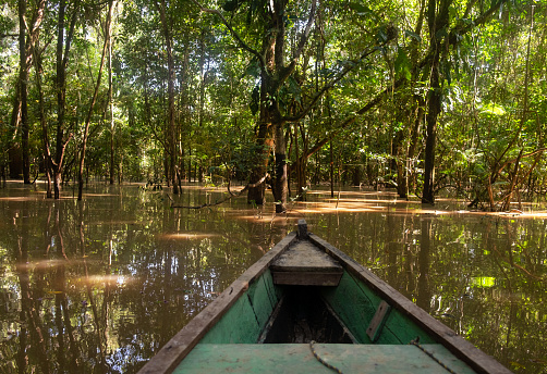 Boat on the Amazon River near Mocagua, Amazonas, Colombia