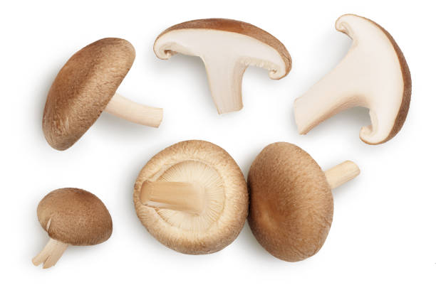 istock Fresh Shiitake mushroom isolated on white background with clipping path. Top view. Flat lay 1301815393