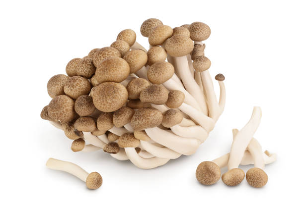 istock Brown beech mushrooms or Shimeji mushroom isolated on white background with clipping path and full depth of field. 1301815405