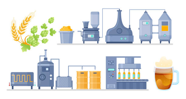 ilustrações, clipart, desenhos animados e ícones de pôster de educação de informações de desenho animado com linha de processamento automatizado, tecnologia da indústria de bebidas isolada em branco. processo de produção de cerveja na ilustração vetorial de processo infográfico da cervejaria. - food and drink industry