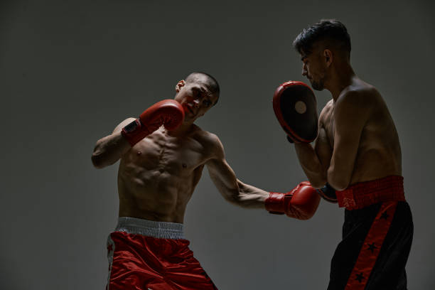 istock Boxers athletic males in boxing gloves fighting during workout on gray studio background with copy space, martial arts 1301816330