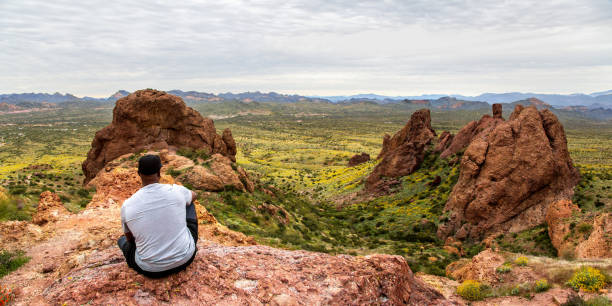 homem afro-americano olhando para o deserto do arizona a partir de flatiron peak panorama - hiking sonoran desert arizona desert - fotografias e filmes do acervo