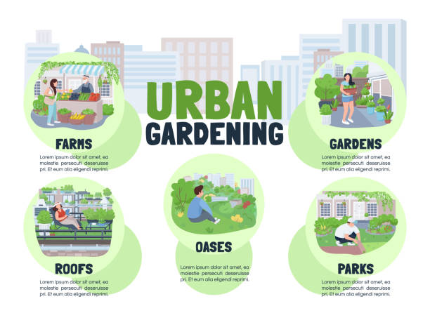 Urban gardening flat color vector informational infographic template. Farms poster, booklet, PPT page concept design with cartoon characters. City parks advertising flyer, leaflet, info banner idea Urban gardening flat color vector informational infographic template. Farms poster, booklet, PPT page concept design with cartoon characters. City parks advertising flyer, leaflet, info banner idea ppt templates stock illustrations