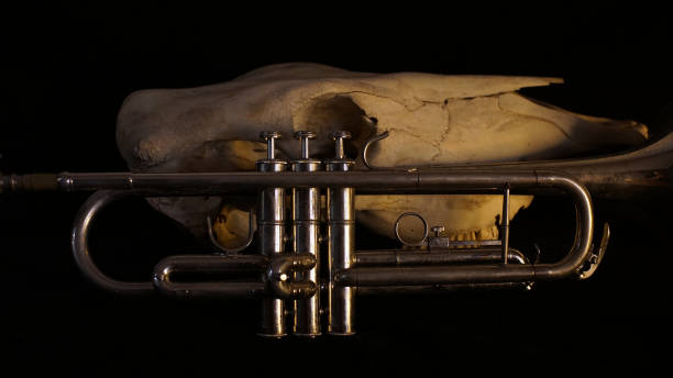 opx - brass instrument flash - fotografias e filmes do acervo
