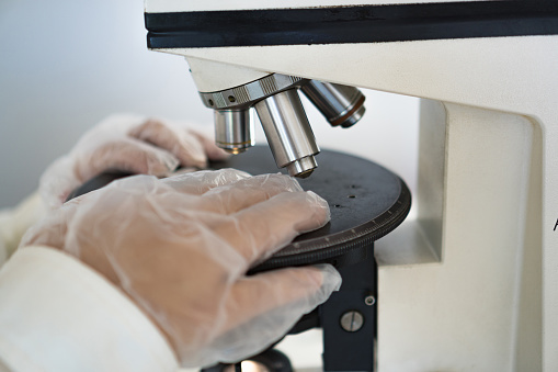 close-up of the hands of a scientist with transparent gloves holding a sample inside glasses on the black stage of the white microscope