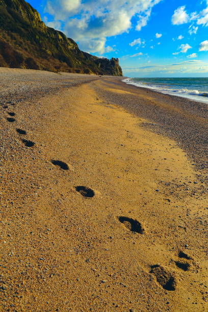 istock Footprint on the pebble  beach 1301820939