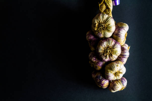 string of garlic, copyspace to left. - garlic hanging string vegetable imagens e fotografias de stock