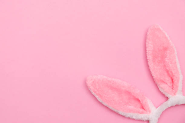 istock Easter bunny. Happy Easter holiday background concept.Flat lay colorful bunny egg with accessory to celebration on modern rustic pink pastel paper at home office desk. 1301826555