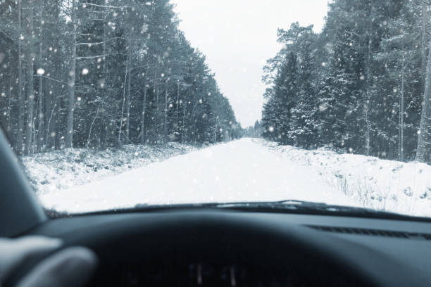 istock Winter Driving. Driving troughs forest. 1301827197
