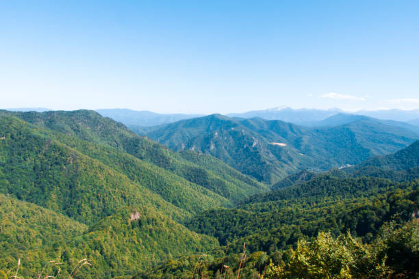 istock mountains covered with beautiful, dense green forest, and blue sky, clear weather. 1301828910