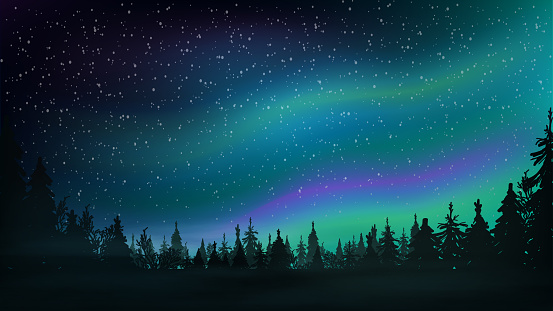 Pine forest, starry sky and Northern lights. Night landscape with beautiful sky. Vector illustration.