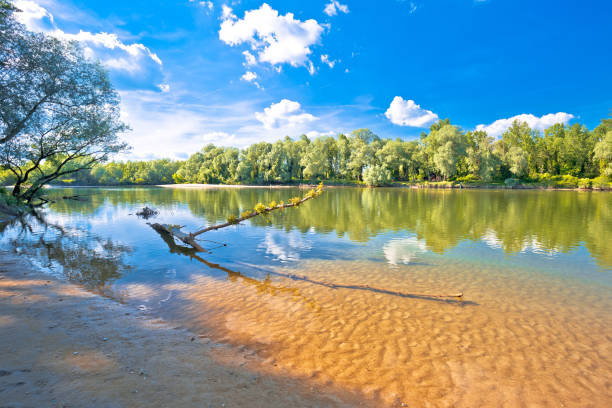 praia do rio drava na foz de mura, região de podravina - koprivnica croatia - fotografias e filmes do acervo