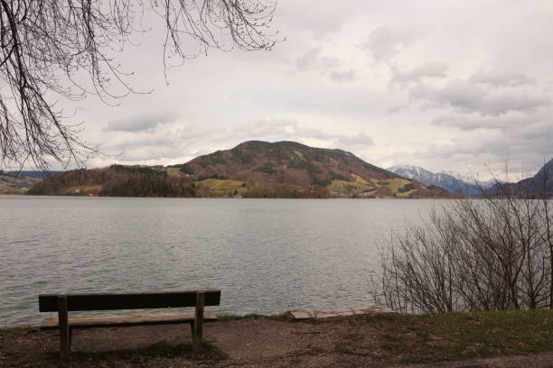 istock Grey winter day at Mondsee 1301833067