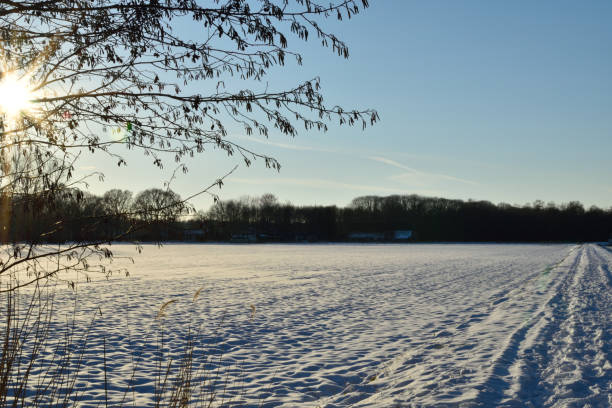 istock Snow covered field in the Netherlands under a cold blue winter sky 1301833771