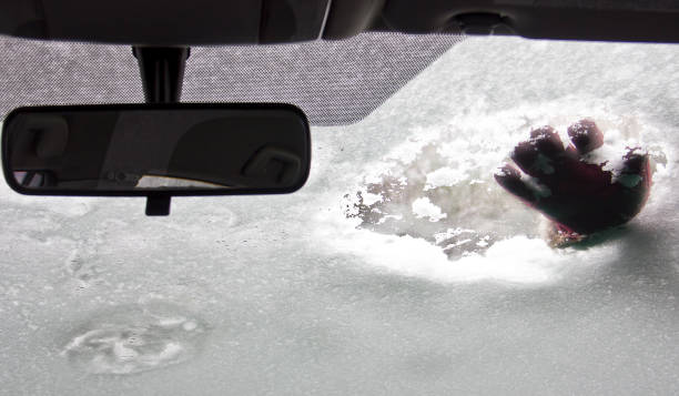 istock Cleaning car after snow storm 1301834474