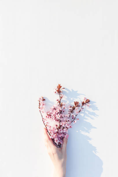 istock Woman Holding Blossom Branches 1301837774