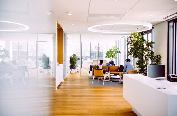 Business people having a meeting