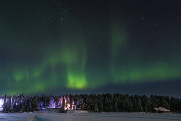 istock aurora borealis over the forest against the starry sky 1301841101