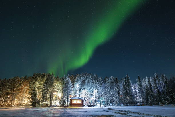 istock aurora borealis over the forest against the starry sky 1301841123