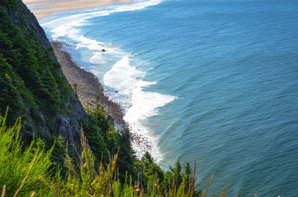 istock Beautiful Oregon Pacific coast line cliff with surf far below 1301841157