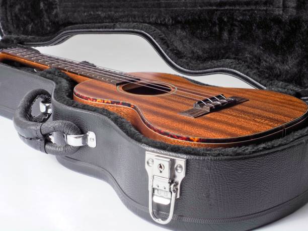istock Mahogany wood Ukulele sitting in its protective black case 1301842471