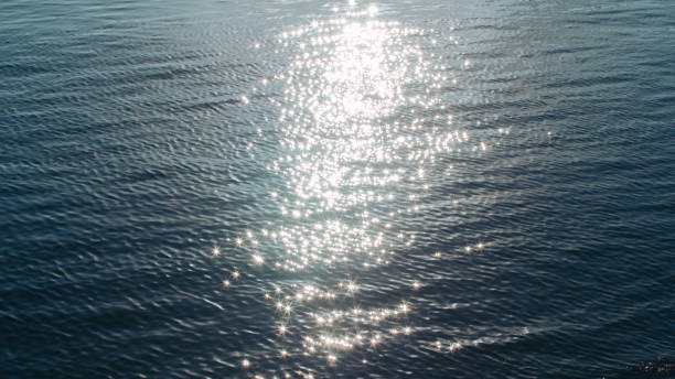 istock Beautiful light path on dark blue water. Moonlight on the sea background texture. 1301843580