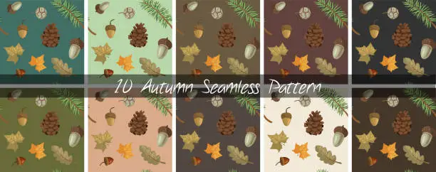 Vector illustration of Set of 10 Autumn Season Leaves, Acorns and Cones Seamless Pattern