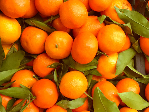 istock orange, food, citrus fruit,  backgrounds 1301847487