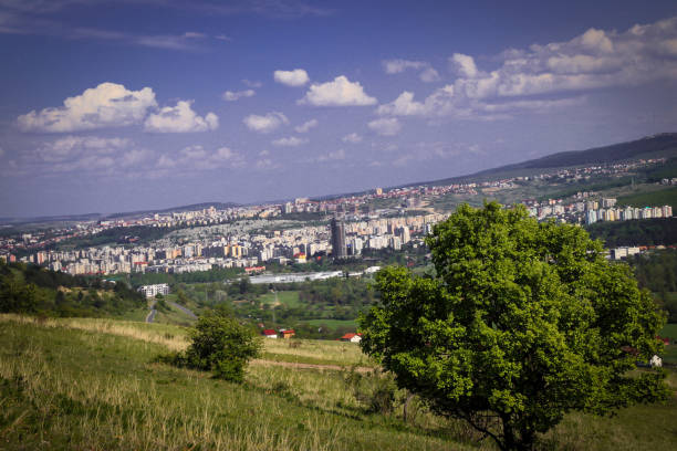 istock Tree and the city view from outside,beautiful landscape. 1301848424