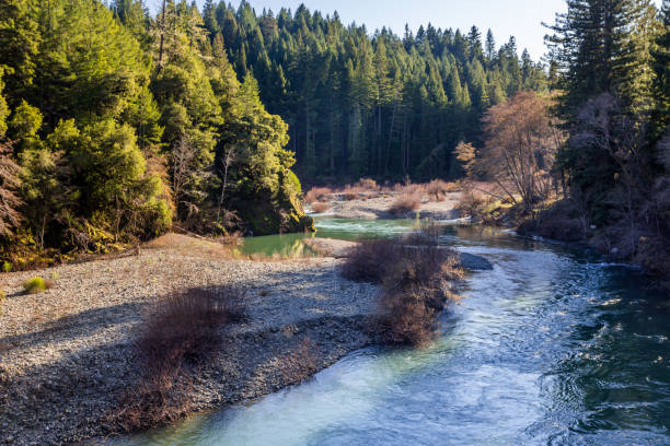 South Fork Eel river banks in sunny weather