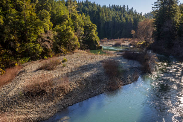 istock River landscape with wooded riverbanks viewed from above 1301852853