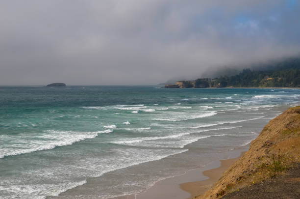 istock Rugged Oregon Pacific ocean coastline  partly covered by fog 1301863080