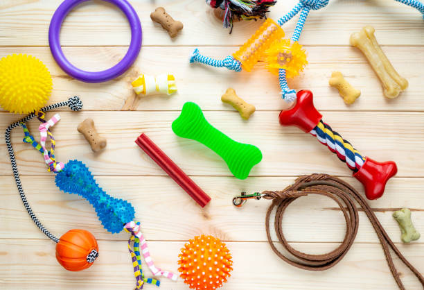 istock Different multicolored pet care accessories: ring, bones, leash, collar, balls on wooden background. Rubber and textile accessories for dogs. Top view, flat lay. Copy space 1301867757