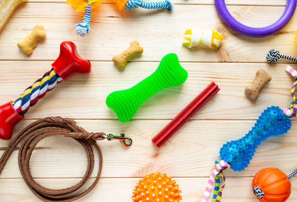 istock Different multicolored pet care accessories: ring, bones, leash, collar, balls on wooden background. Rubber and textile accessories for dogs. Top view, flat lay. Copy space 1301867763