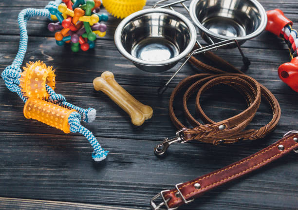 istock Different multicolored pet care accessories: ring, bones, leash, collar, balls on wooden background. Rubber and textile accessories for dogs. Top view, flat lay. Copy space 1301867810