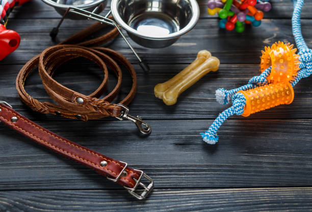 istock Different multicolored pet care accessories: ring, bones, leash, collar, balls on wooden background. Rubber and textile accessories for dogs. Top view, flat lay. Copy space 1301867818