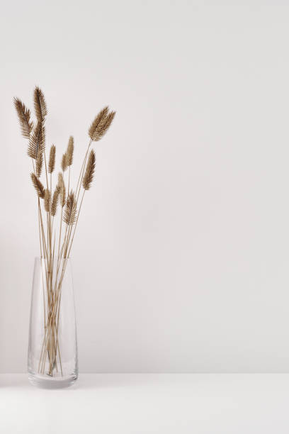 istock A transparent vase with dry branches on a white background. Minimalism, eco-materials in the interior decor. Copy space, mock up 1301870987