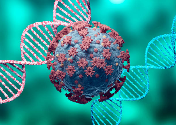 istock Coronavirus and DNA, virus mutation. New variant and strain of SARS CoV 2. Microscopic view. 1301873080