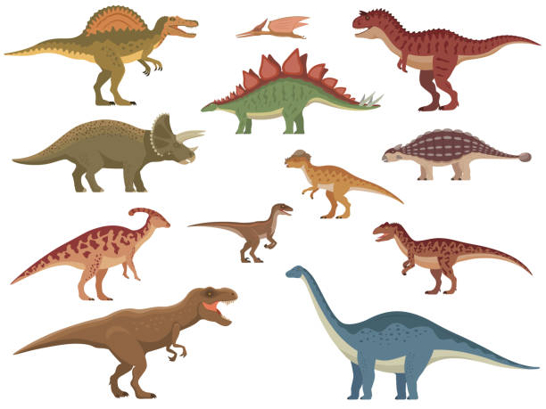 ilustraciones, imágenes clip art, dibujos animados e iconos de stock de conjunto de dinosaurios coloridos - dinosaurio