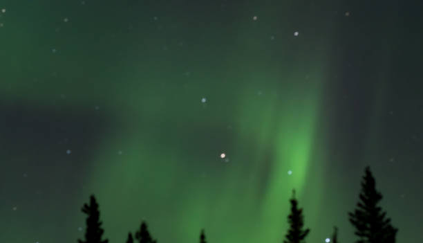 istock Northern Lights in Alaska 1301879961