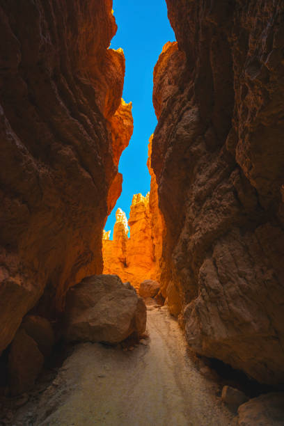 szlak turystyczny bryce canyon - arid climate travel destinations canyon dawn zdjęcia i obrazy z banku zdjęć