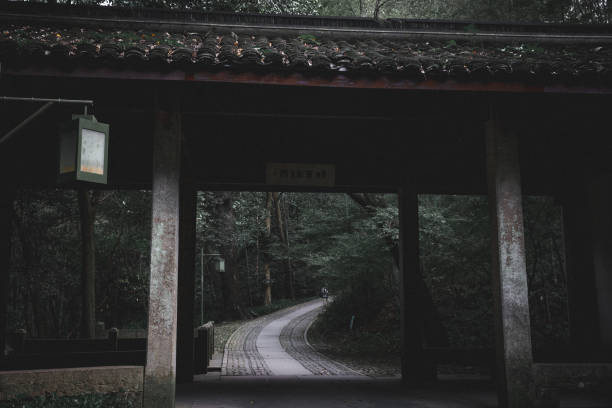 istock Bamboo land in Hangzhou 1301882562