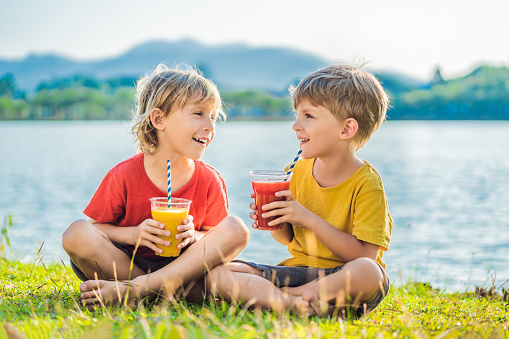 Two boys drink healthy smoothies against the backdrop of palm trees. Mango and watermelon smoothies. Healthy nutrition and vitamins for children.