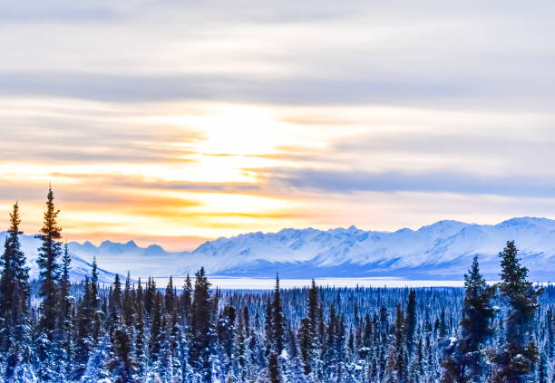Sunrise In Alaska A beautiful sunrise on Christmas morning. Despite the frigid temperatures, Christmas in Alaska comes with beautiful scenery and a glorious sunrise. chugach national forest photos stock pictures, royalty-free photos & images